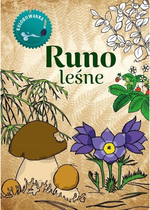 Kolorowanka. Runo Leśne
