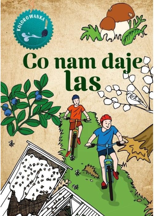 Kolorowanka. Co nam daje las