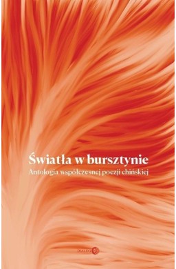 Światła w bursztynie