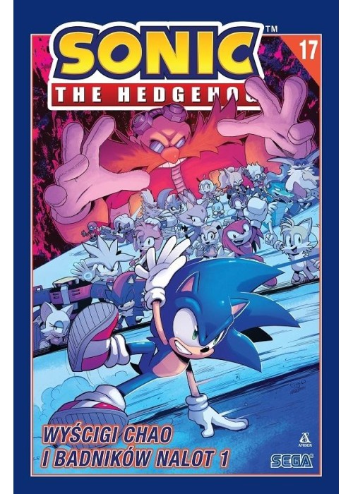 Sonic the Hedgehog 17. Wyścigi Chao i Badników