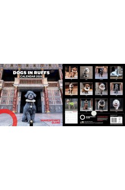 Kalendarz 2026 ścienny kwadrat Psy w kryzach