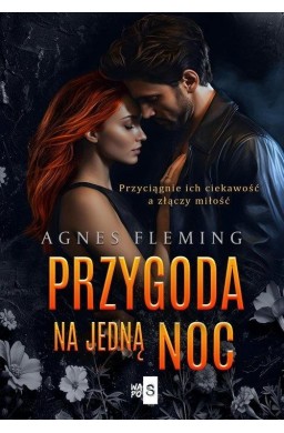 Przygoda na jedną noc