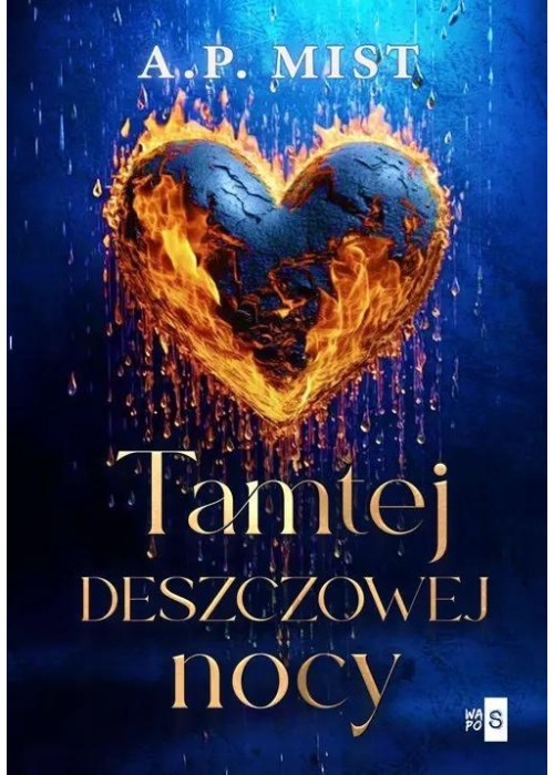 Tamtej deszczowej nocy