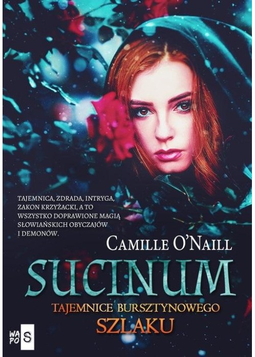 Sucinum Tajemnice Bursztynowego szlaku