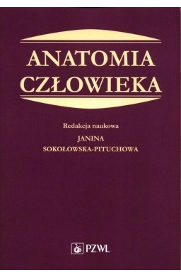 Anatomia człowieka