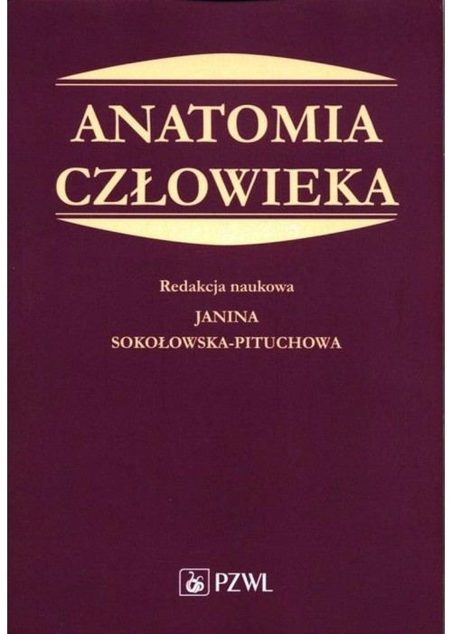 Anatomia człowieka