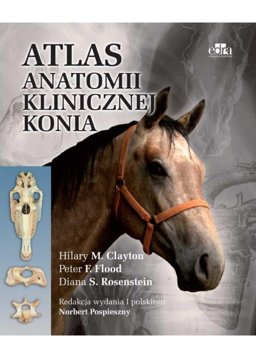 Atlas anatomii klinicznej konia