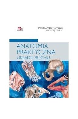 Anatomia praktyczna układu ruchu