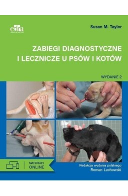 Zabiegi diagnostyczne i lecznicze u psów i kotów
