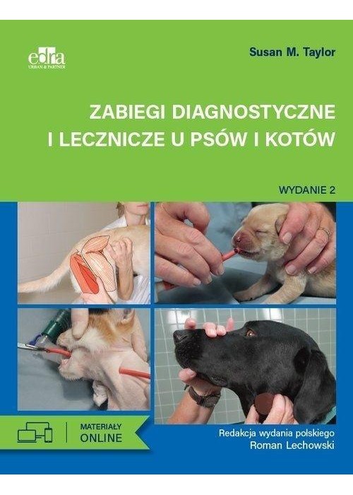 Zabiegi diagnostyczne i lecznicze u psów i kotów