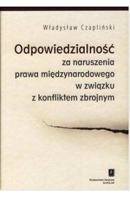 Odpowiedzialność za naruszenia prawa...