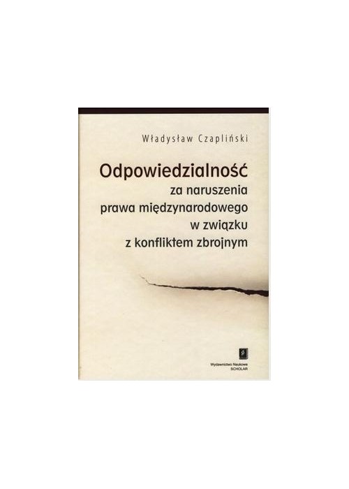 Odpowiedzialność za naruszenia prawa...