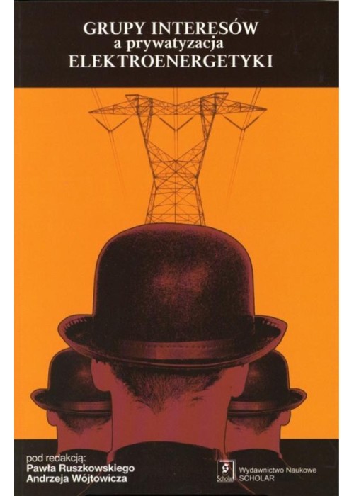 Grupy intersów a prywatyzacja elektroenergetyki