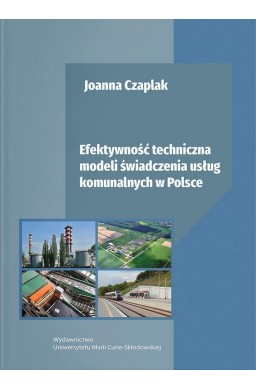 Efektywność techniczna modeli świadczenia usług...