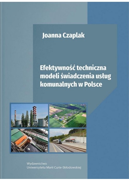 Efektywność techniczna modeli świadczenia usług...
