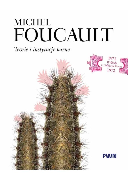 Teorie i instytucje karne