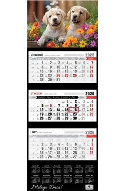 Kalendarz 2026 trójdzielny premium pieski
