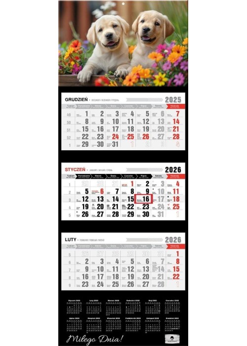Kalendarz 2026 trójdzielny premium pieski