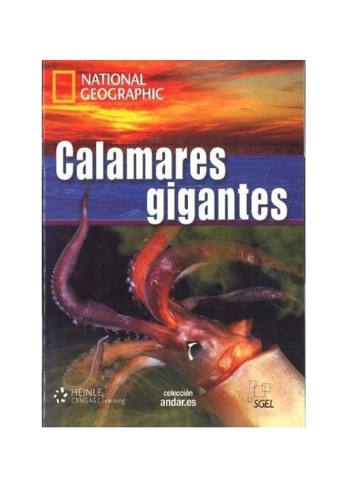 Calamares gigantes C1