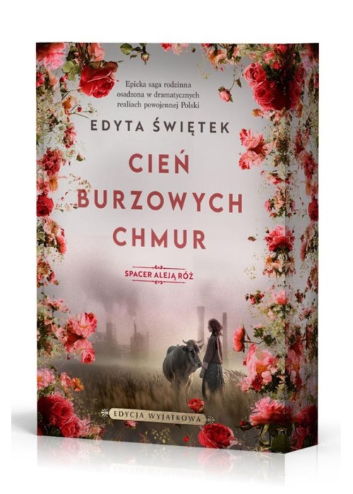 Spacer Aleją Róż T.1 Cień burzowych chmur