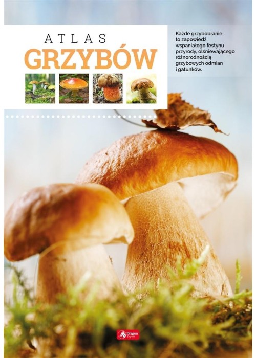Atlas grzybów TW