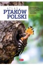 Atlas ptaków Polski TW