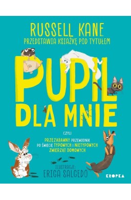 Pupil dla mnie. czyli przezabawny przewodnik po...