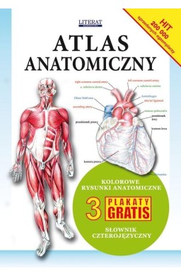 Atlas anatomiczny