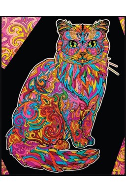 Kolorowanka welwetowa A4 Kot Długowłosy