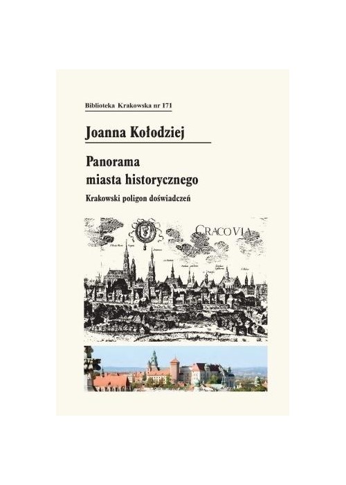 Panorama miasta historycznego