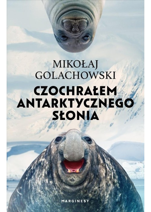 Czochrałem antarktycznego słonia w.rozszerzone