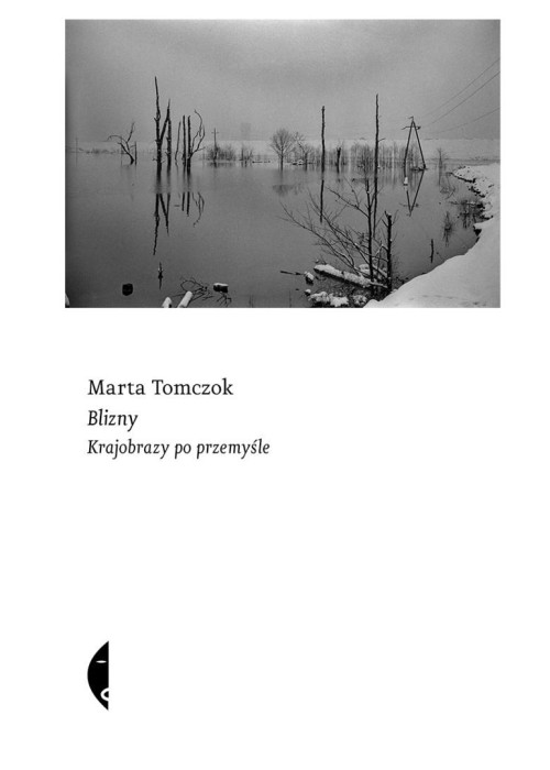 Blizny. Krajobrazy po przemyśle