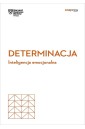 Determinacja. Inteligencja emocjonalna