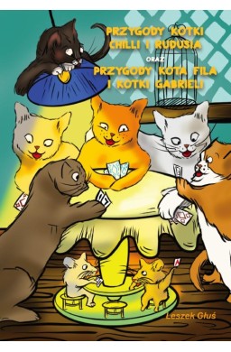Przygody Kotki Chilli i Rudusia...
