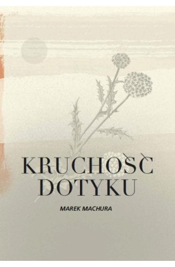 Kruchość dotyku