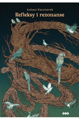 Refleksy i rezonanse