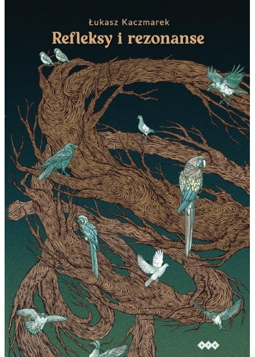 Refleksy i rezonanse