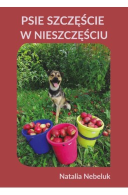 Psie szczęście w nieszczęściu