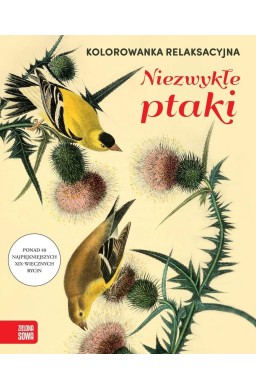 Kolorowanka relaksacyjna. Niezwykłe ptaki