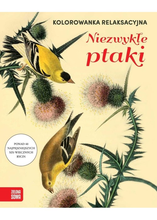 Kolorowanka relaksacyjna. Niezwykłe ptaki