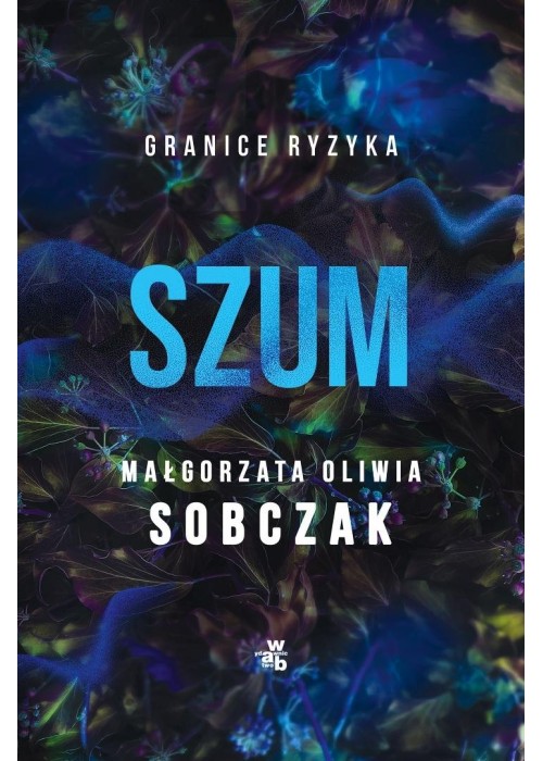 Granice ryzyka. Szum