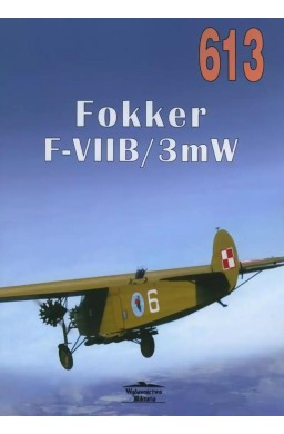 Fokker F-VIIB/3mW 613