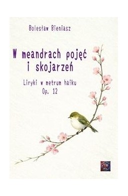 W meandrach pojęć i skojarzeń