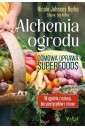 Alchemia ogrodu domowa uprawa superfoods
