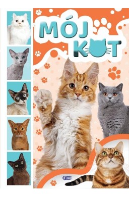 Mój kot