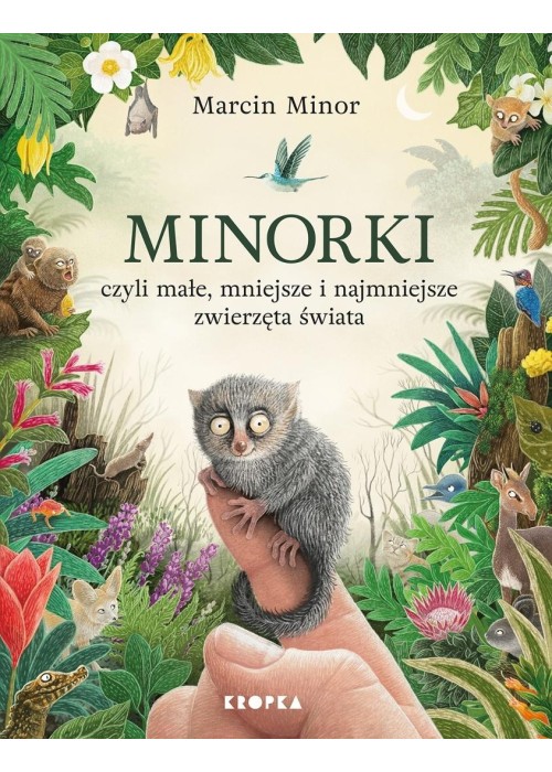 Minorki, czyli małe, mniejsze i najmniejsze...