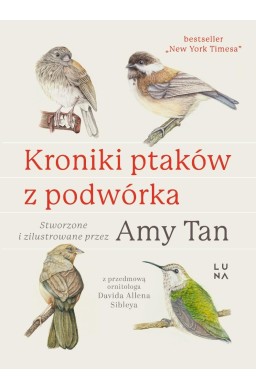 Kroniki ptaków z podwórka