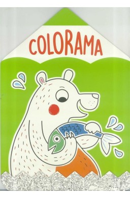 Colorama - Niedźwiadek