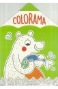 Colorama - Niedźwiadek