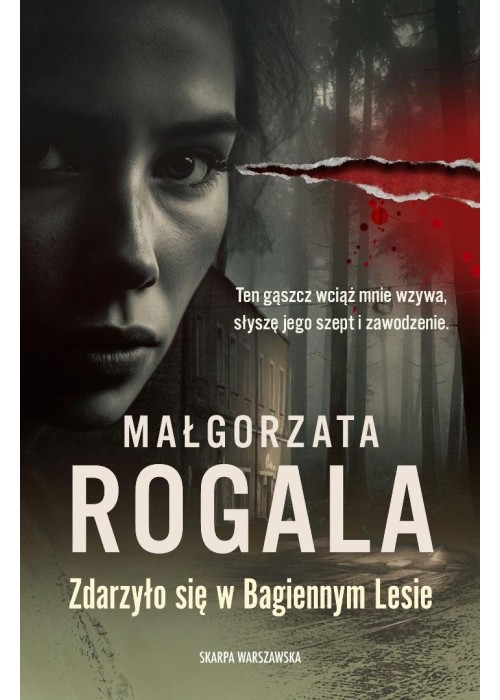 Zdarzyło się w Bagiennym Lesie